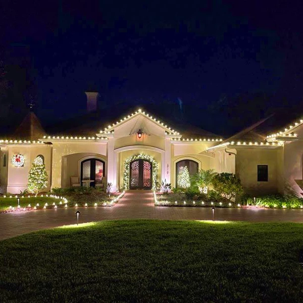northern-lights-florida-1