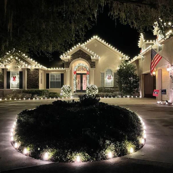 Professional Light decorators