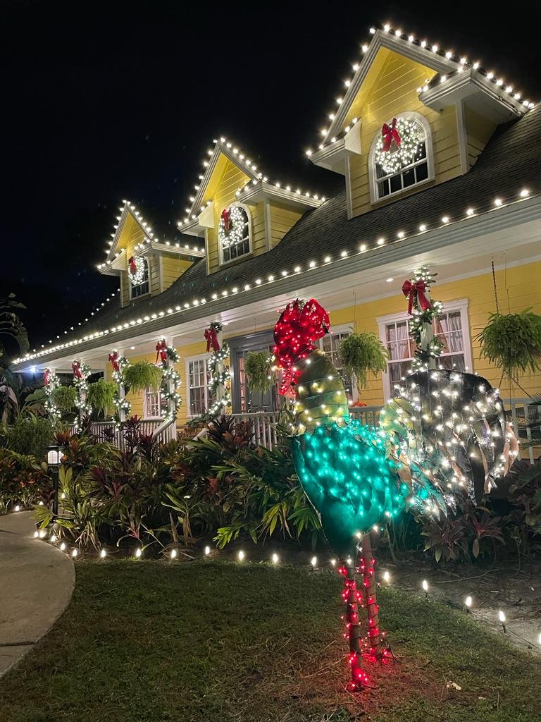 Northern Lights Florida lighting project 15