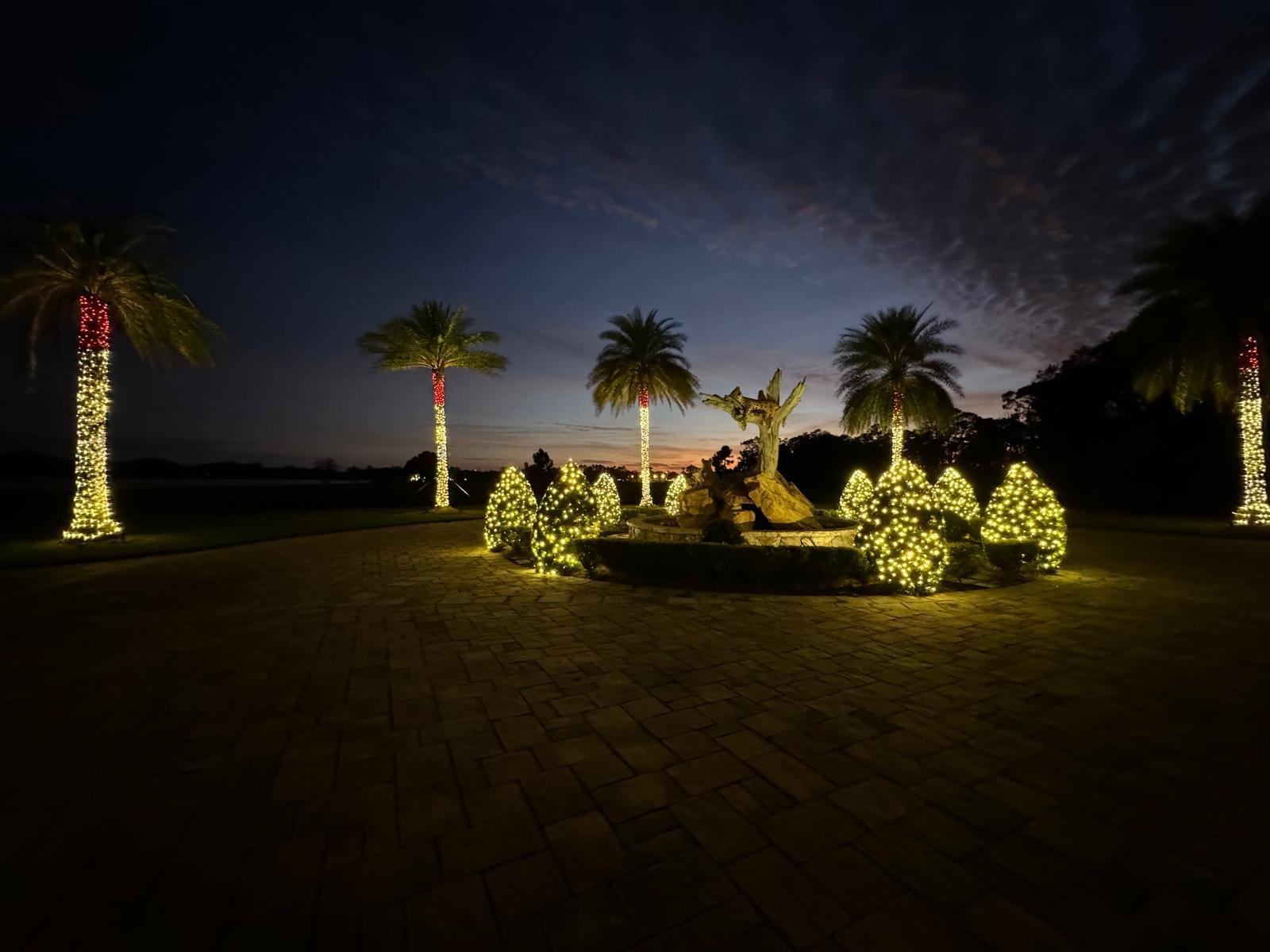 Northern Lights Florida lighting project 16