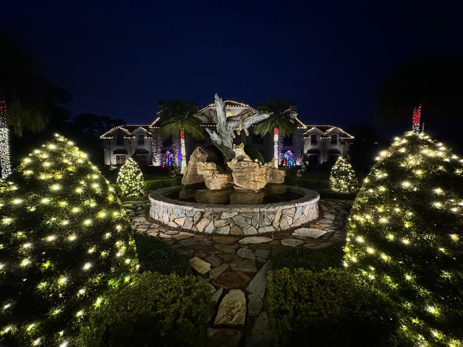Northern Lights Florida lighting project 17