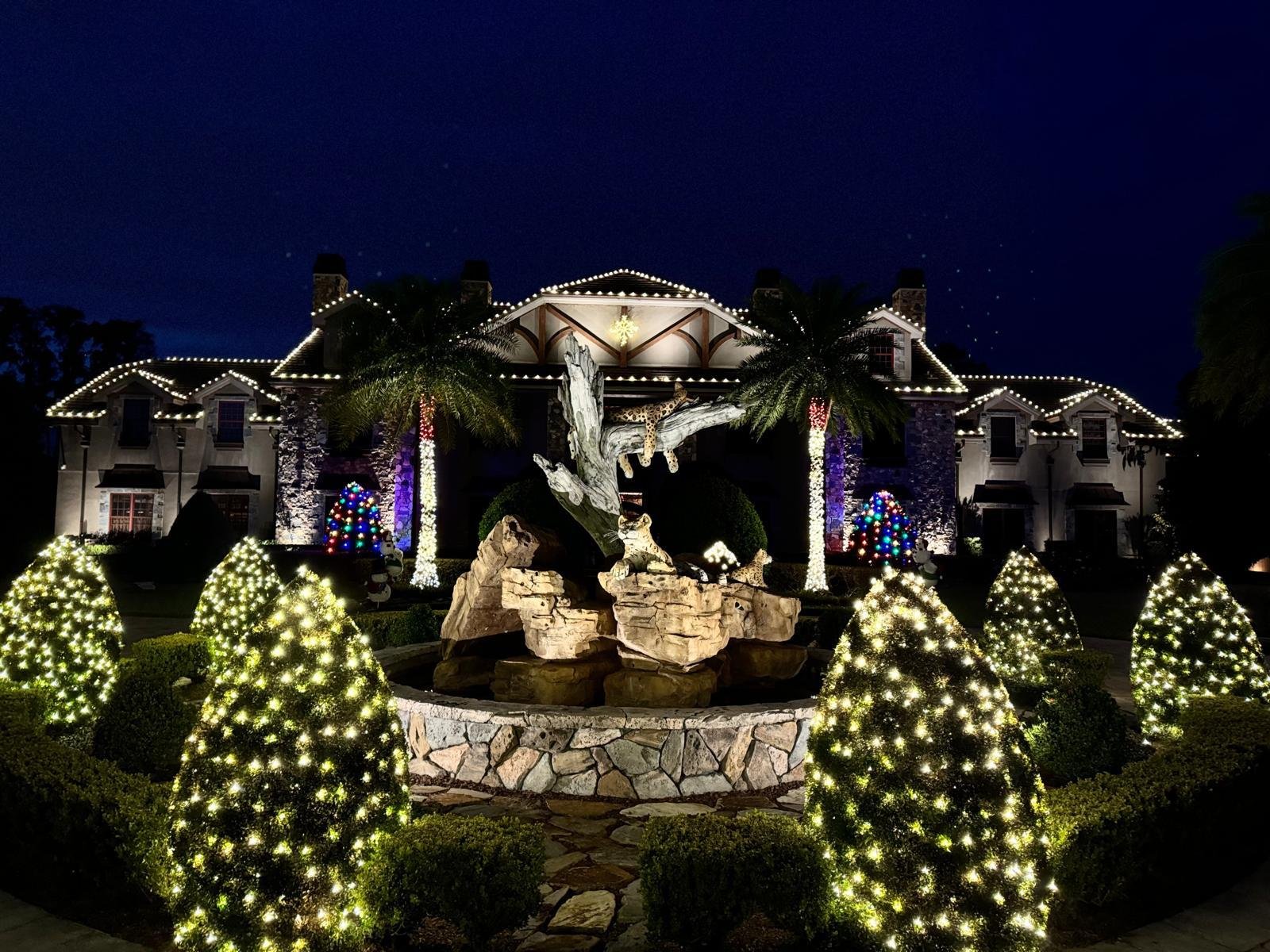 Northern Lights Florida lighting project 18