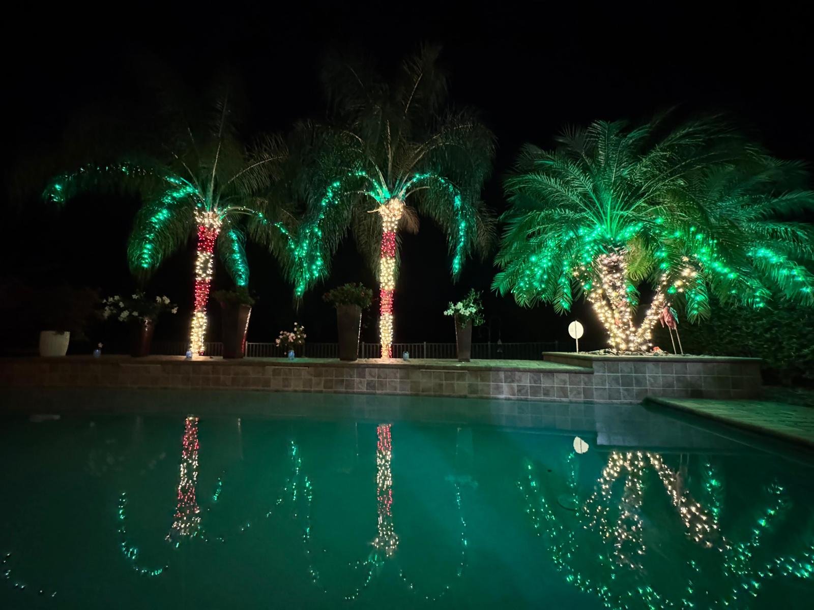 Northern Lights Florida lighting project 20