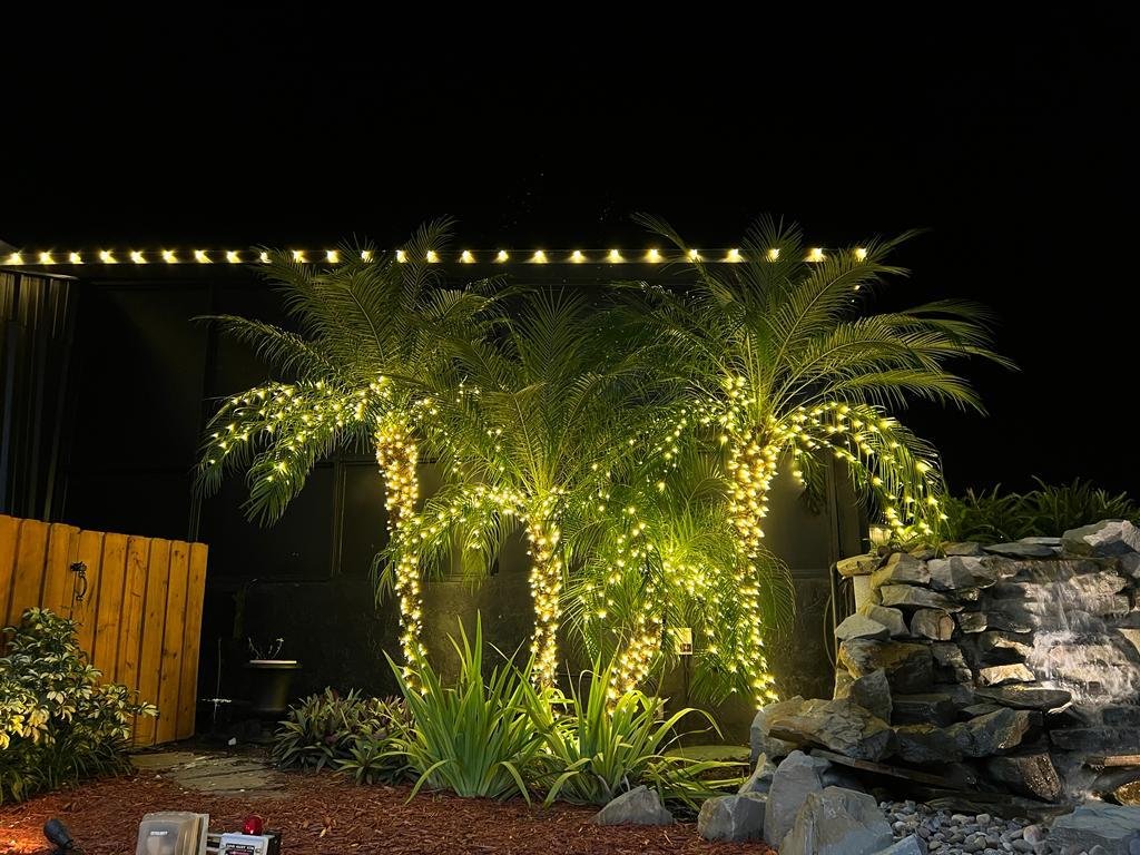 Northern Lights Florida lighting project 25
