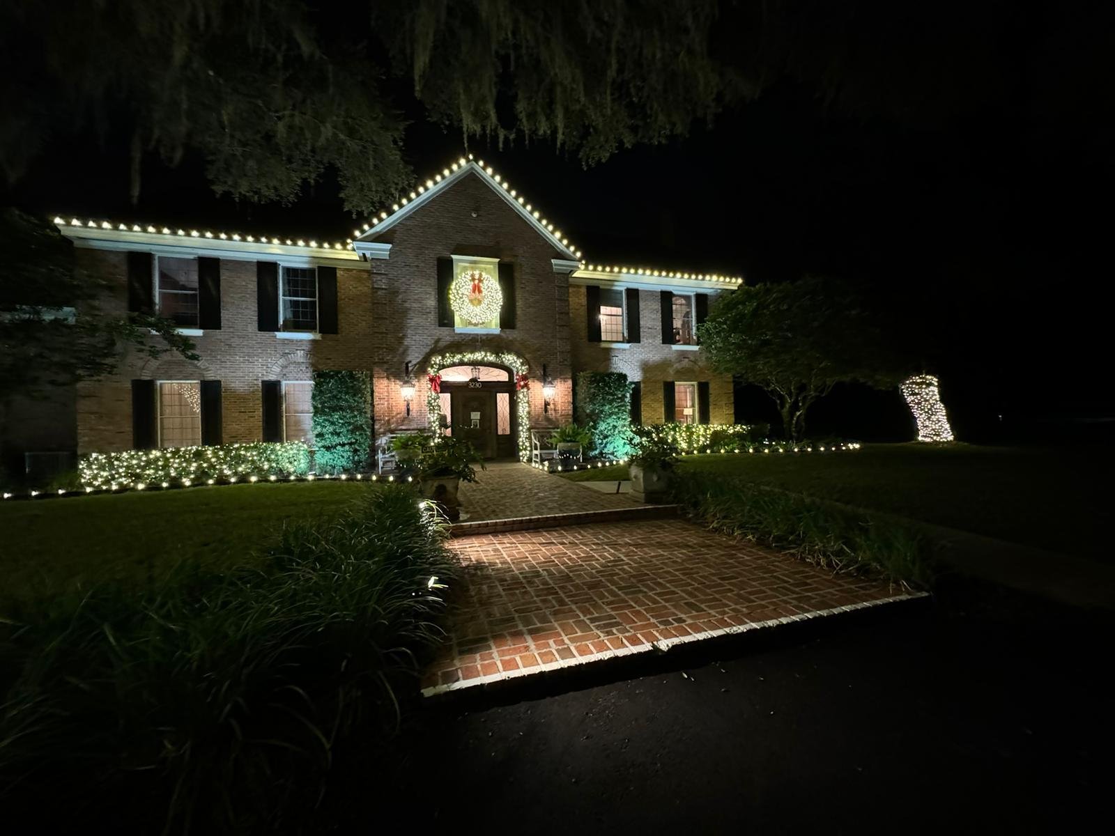 Northern Lights Florida lighting project 28