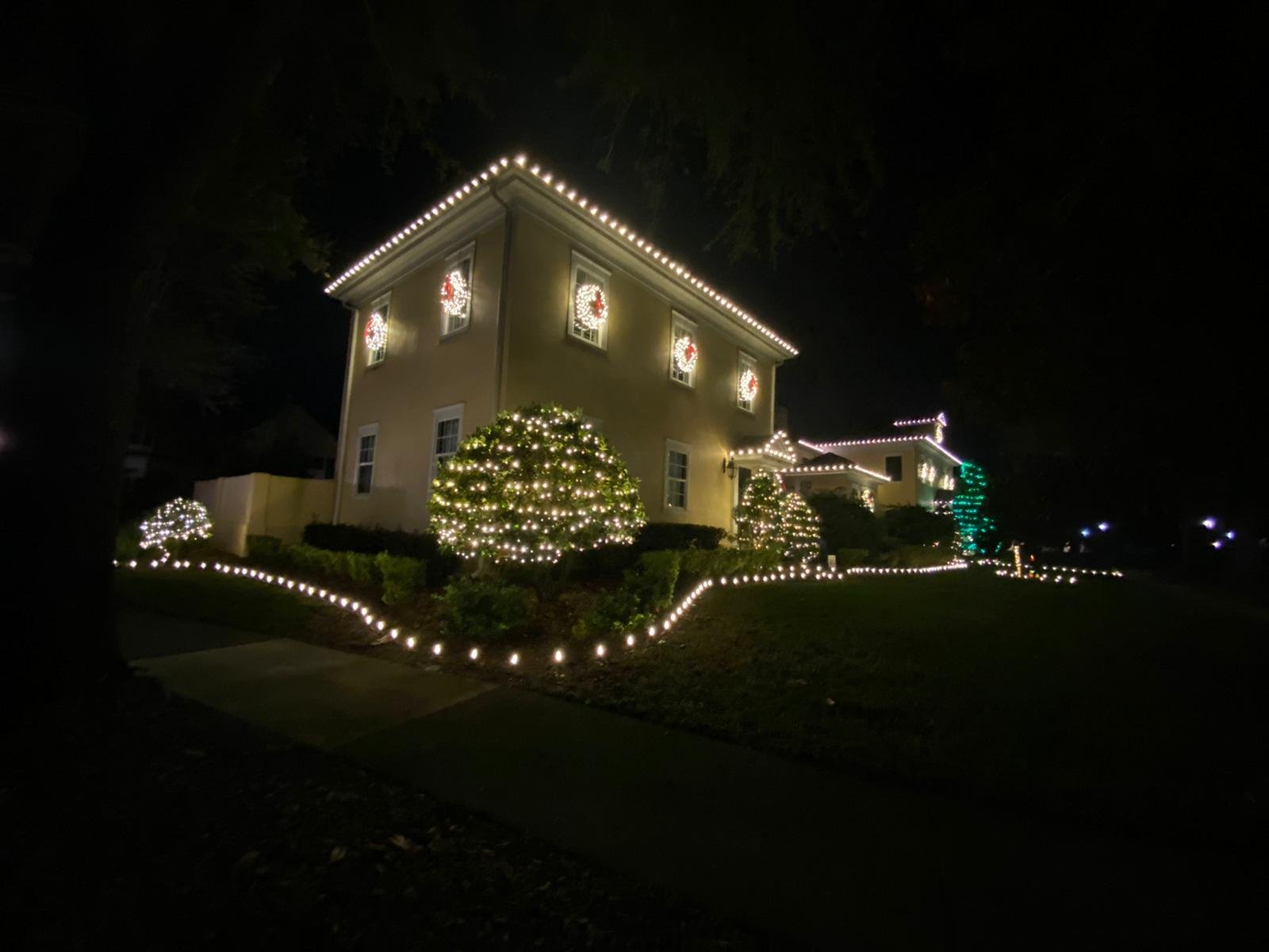 Northern Lights Florida lighting project 77