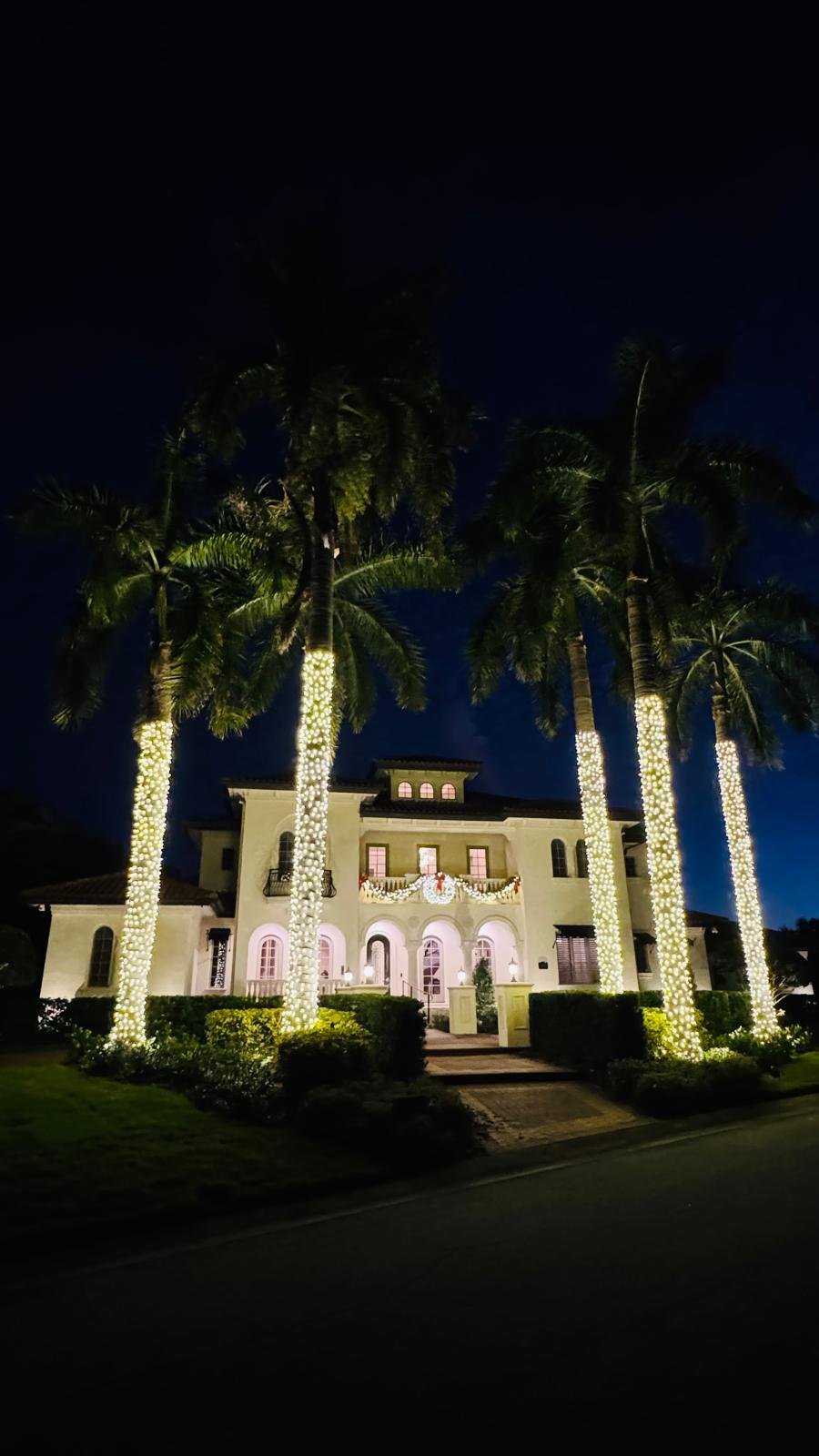Northern Lights Florida lighting project 80