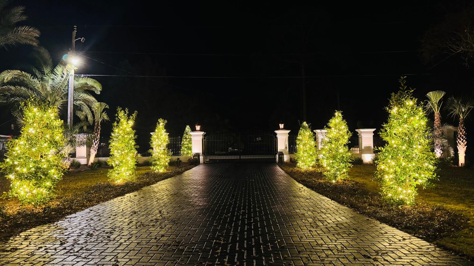 Northern Lights Florida lighting project 81