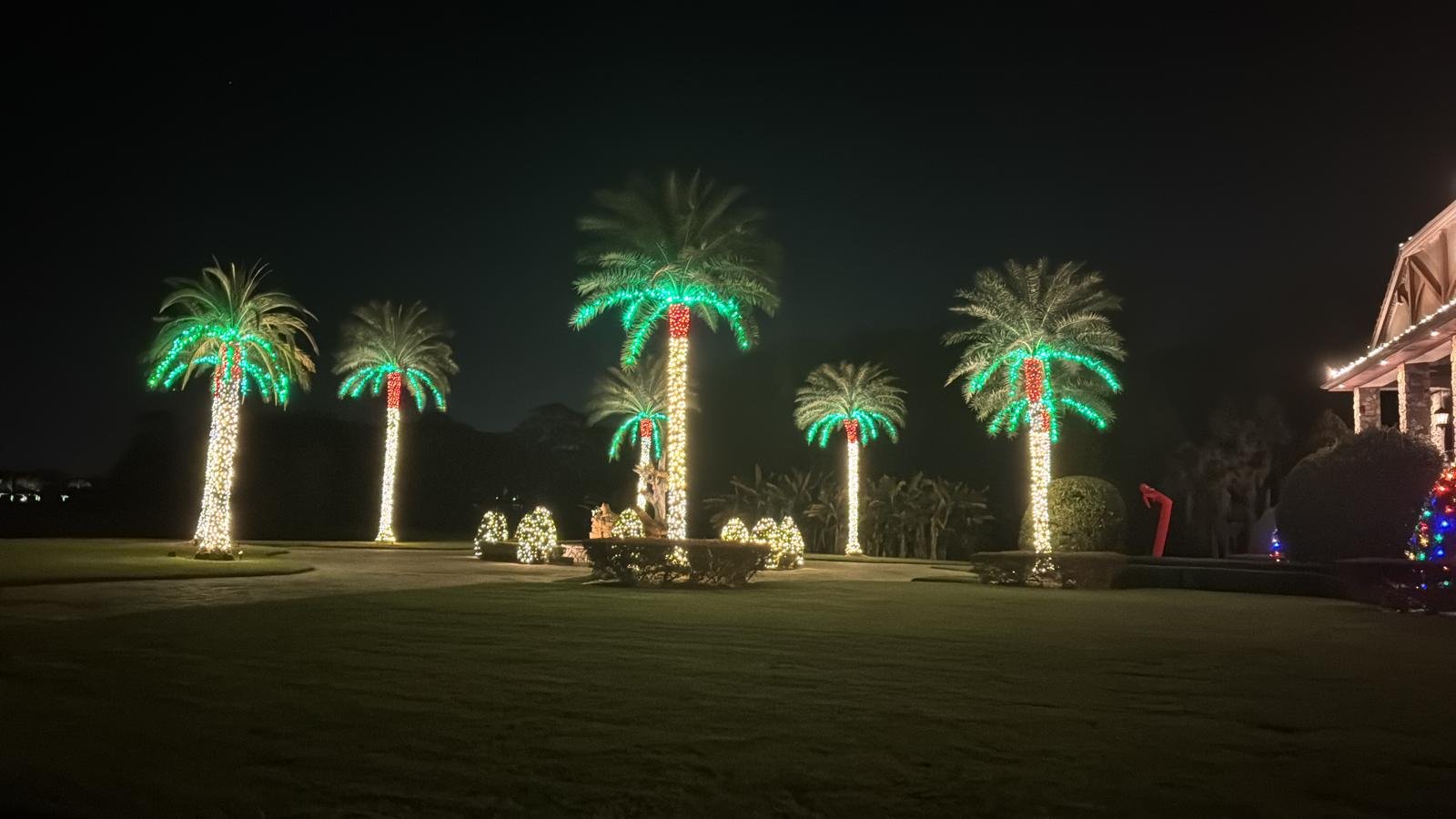 Northern Lights Florida lighting project 83