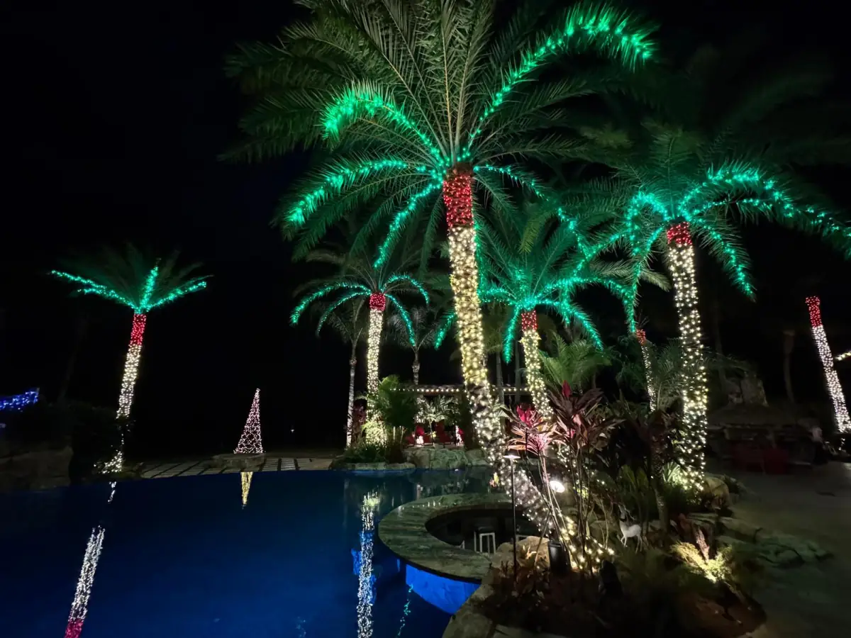EVENTS lighting by Northern Lights Florida