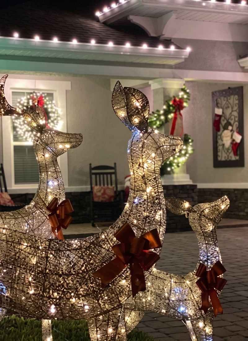 HOLIDAY DECOR lighting by Northern Lights Florida